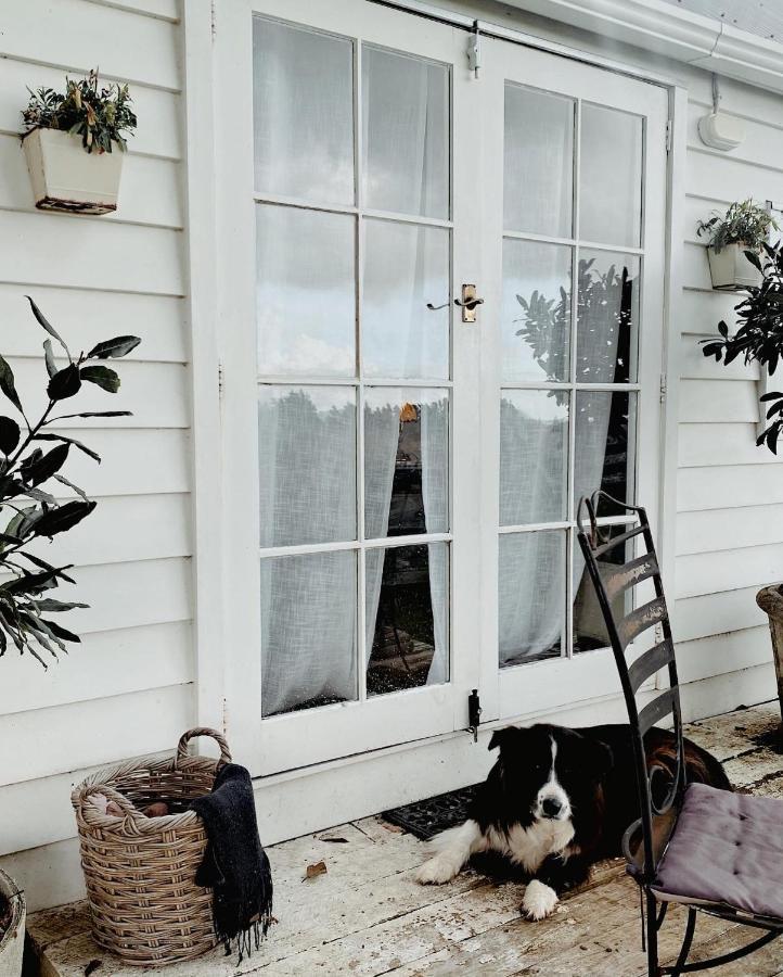 Thistle And Pine Cottage Farmstay Tauranga Exterior photo